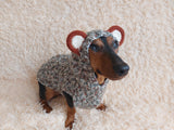Вear hoodie for dog aran melange cable suit with ears for dachshund