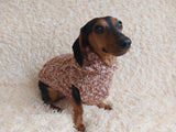 Вear hoodie for dog aran melange cable suit with ears for dachshund