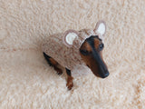 Вear hoodie for dog aran melange cable suit with ears for dachshund
