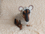 Вear hoodie for dog aran melange cable suit with ears for dachshund