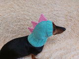 Dino dachshund, dino hat for dachshund or small dog, dinosaur clothes for dogs