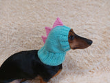 Dino dachshund, dino hat for dachshund or small dog, dinosaur clothes for dogs