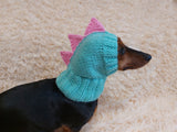 Dino dachshund, dino hat for dachshund or small dog, dinosaur clothes for dogs