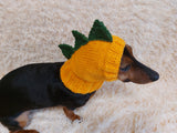 Dog clothes hat dragon dinosaur, hat dinosaur dog clothes, Dragon Dinosaur Dog Hat Hood Snood, hat for dog dinosaur (Copy)