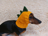 Dog clothes hat dragon dinosaur, hat dinosaur dog clothes, Dragon Dinosaur Dog Hat Hood Snood, hat for dog dinosaur (Copy)