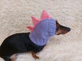 Dinosaur hat for dog, dinosaur dachshund knitted hat, dino dog clothes