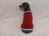 Watermelon sweater for small dogs, Watermelon knitted dog jumper, Watermelon small dog clothes