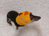 Easter chicken snood hat for dog