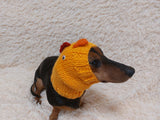 Easter chicken snood hat for dog