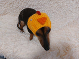 Easter chicken snood hat for dog