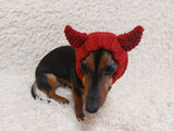 Devil snood hat for dogs