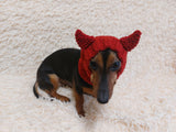 Devil snood hat for dogs