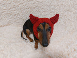 Devil snood hat for dogs