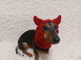 Devil snood hat for dogs