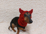 Devil snood hat for dogs