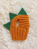 Dinosaur Snood Hat for Dog with Open Ears