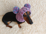 Rainbow Dog Snood Hat with Two Pom Poms