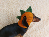 Dinosaur Snood Hat for Dog with Open Ears