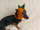 Dinosaur Snood Hat for Dog with Open Ears