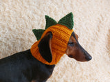 Dinosaur Snood Hat for Dog with Open Ears