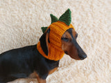 Dinosaur Snood Hat for Dog with Open Ears