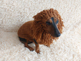 Pet Lion Costume - Halloween Costume Lion Sweater and Hat - Dachshund Lion Set for Dog Photo Shoot-Halloween dog costume for small dog Lion