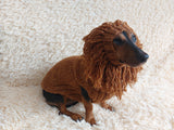 Pet Lion Costume - Halloween Costume Lion Sweater and Hat - Dachshund Lion Set for Dog Photo Shoot-Halloween dog costume for small dog Lion