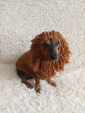 Pet Lion Costume - Halloween Costume Lion Sweater and Hat - Dachshund Lion Set for Dog Photo Shoot-Halloween dog costume for small dog Lion