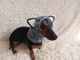 Gray wolf snood hat for dogs