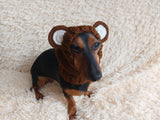 Pet cloches bear hat snood, dog clothes hat snood bear
