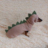 Dinosaur Dragon Costume Sweater and Hat Zoo Animal Clothes