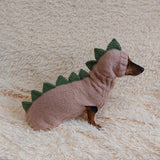 Dinosaur Dragon Costume Sweater and Hat Zoo Animal Clothes