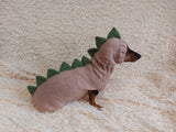 Dinosaur Dragon Costume Sweater and Hat Zoo Animal Clothes