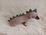 Dinosaur Dragon Costume Sweater and Hat Zoo Animal Clothes