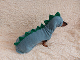 Dinosaur costume for dogs, dachshund dinosaur costume sweater and hat, dino dog cloches, dino dog sweater