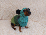 Pet Costume with Aran and Pom Poms Sweater and Hat Set of Dog Clothes