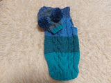 Pet Costume with Aran and Pom Poms Sweater and Hat Set of Dog Clothes