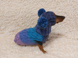 Pet Costume with Aran and Pom Poms Sweater and Hat Set of Dog Clothes