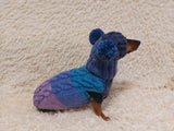 Pet Costume with Aran and Pom Poms Sweater and Hat Set of Dog Clothes