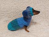 Pet Costume with Aran and Pom Poms Sweater and Hat Set of Dog Clothes