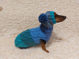 Pet Costume with Aran and Pom Poms Sweater and Hat Set of Dog Clothes