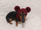 Dog hat with two pom poms wool, warm hat for dachshund, wool hat for small dogs