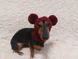 Dog hat with two pom poms wool, warm hat for dachshund, wool hat for small dogs