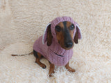Alpaca Wool Rabbit Pet Costume and Hat with Ears--Sweater and Hat Set with Dog Ears