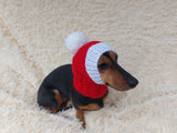 Knitted Dachshund Santa Hat: Wool Blend Christmas Dog Costume