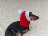 Knitted Dachshund Santa Hat: Wool Blend Christmas Dog Costume