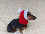 Knitted Dachshund Santa Hat: Wool Blend Christmas Dog Costume
