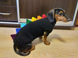 Rainbow dinosaur knitted dog sweater, dog clothes sweater rainbow dinosaur, rainbow dog jumper