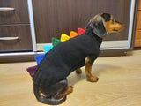 Rainbow dinosaur knitted dog sweater, dog clothes sweater rainbow dinosaur, rainbow dog jumper
