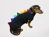 Rainbow dinosaur knitted dog sweater, dog clothes sweater rainbow dinosaur, rainbow dog jumper